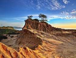 Main attractions nearby include The Torrey Pines Natural Preserve, flat rock beach, black?s beach, etc. The Preserve is a wilderness in the urban area